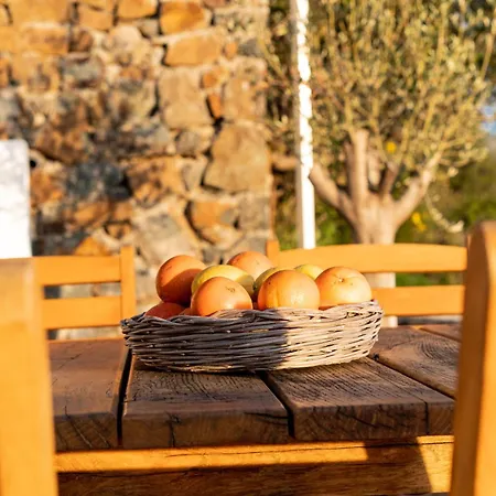 Fuga Panorama Villa Bodrum